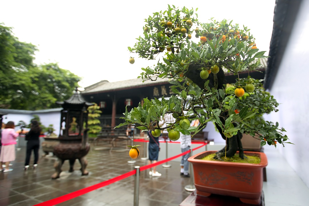 _image_hide_flag_image_1601173168_ofKe54FA